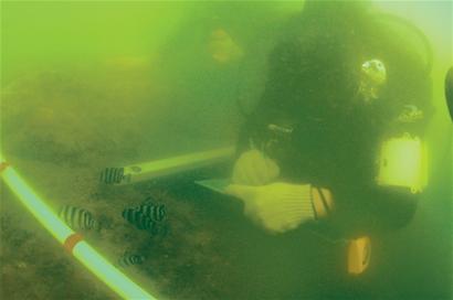 茜茜公主沉睡胶州湾百年 考古队将带其浮出水面