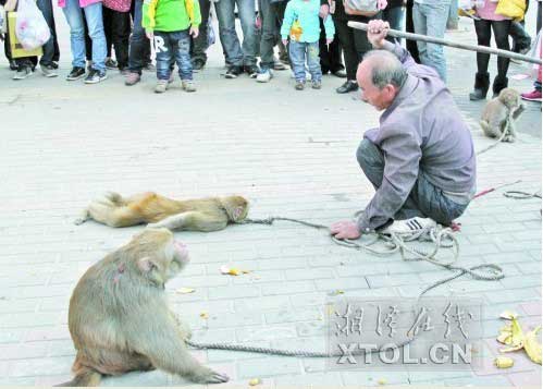　　耍猴人当街暴打猴子，引起围观市民的反感。(竖戈摄)