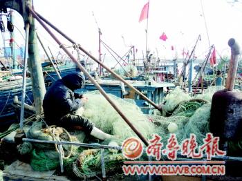 青岛渔船进入捕捞最后狂欢季 12月风波恶难出海