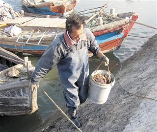 青岛难寻海捕海鲜 海捕蟹比养殖蟹贵1倍1只就够油费