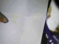 雅培奶粉里发现“黑虫”客服称是乳糖胶粒(图)
