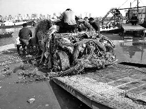12月9日，广西北海籍渔民马先生在出海捕鱼时捞起了一辆保时捷“卡宴”豪华越野车。这辆在陆地上价值百万元的名车落入海里后，最终卖给修理厂只得了4000元。