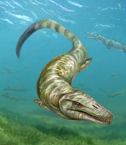 艺术家描绘的8400万年前淡水中游动的类似鳄鱼的“水怪”