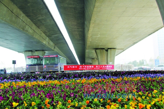 郑州市中州大道农业路口桥下新摆满的花盆，旁边是救助提示语。本版图片均由南都记者 孙旭阳 摄
