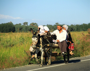 斯诺登据称已向27国提避难申请 遭多国明确拒