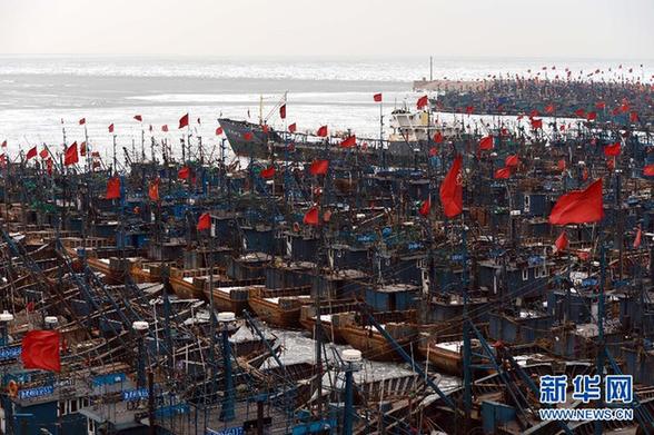 山东海冰面积近10年最大 渔业生产严重受影响