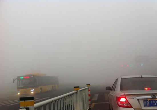 首发:今年最严重大雾锁岛城 高速全封闭