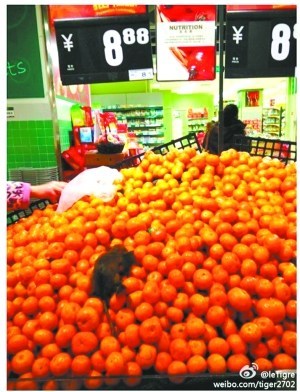 华润万家超市橘子堆里惊现耗子吓坏顾客(图)