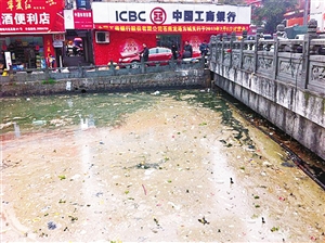 网友微博提供的河道污染照片