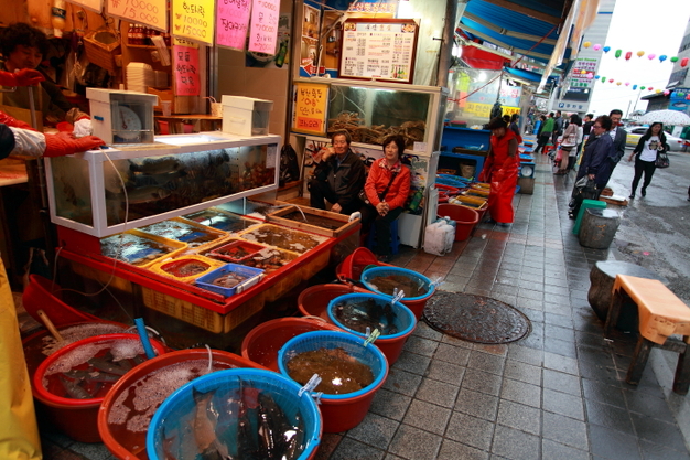 韩国海鲜市场