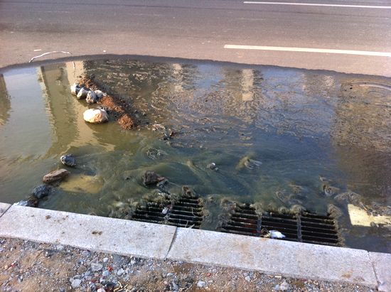 劲松七路排污管爆裂 脏水蔓延200米