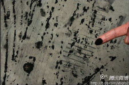 杭州森林公园下“煤雨” 官方无法判断来源(图)