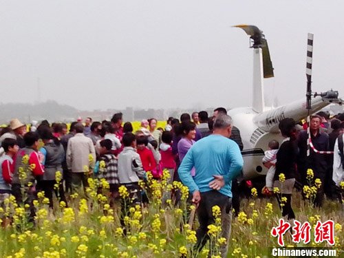 湖南游客自驾直升机观看油菜花引围观(图)