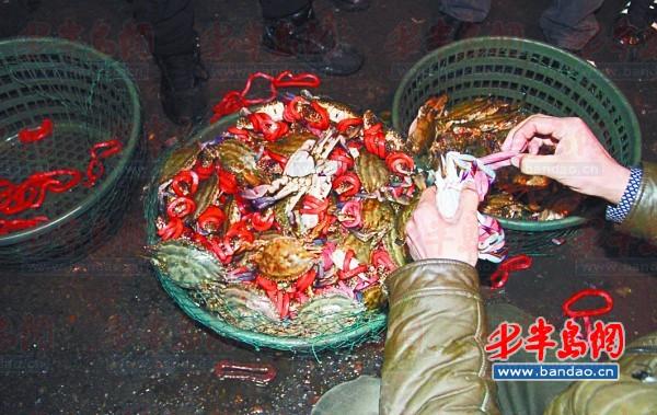 买一斤螃蟹皮筋重半斤 螃蟹绑皮筋成产业