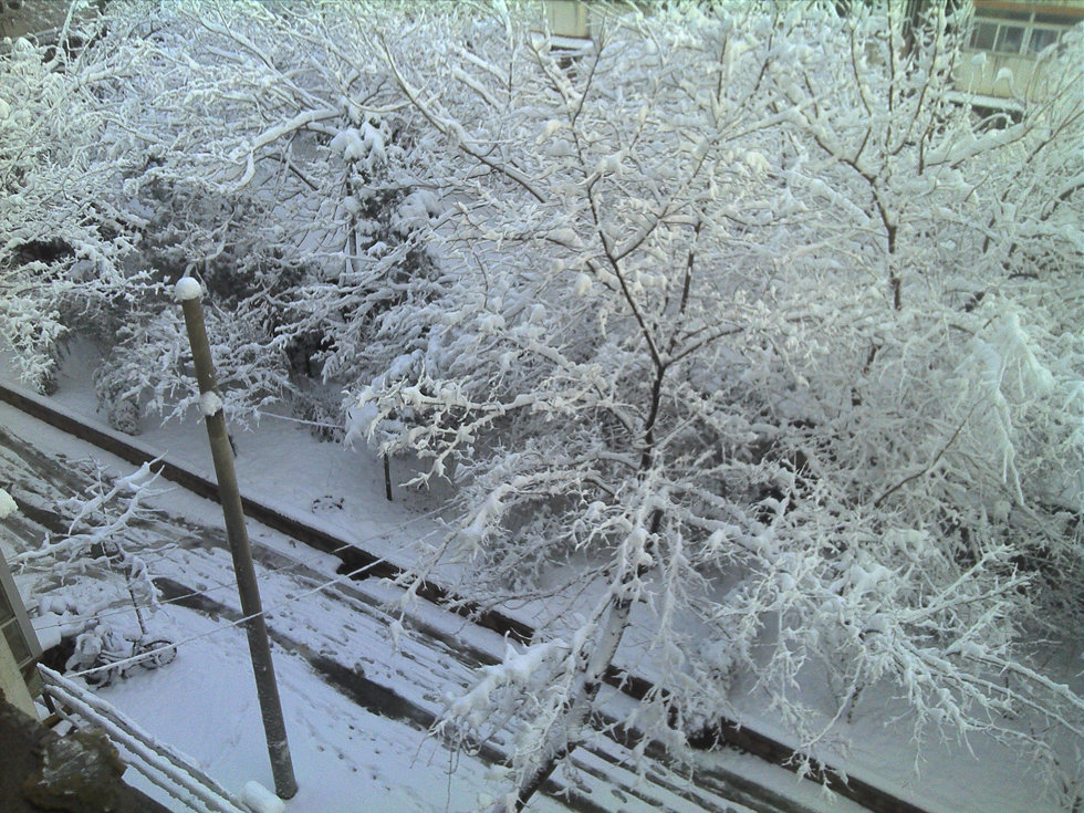 2013年3月20日早晨，降雪后的北京，全城银装素裹