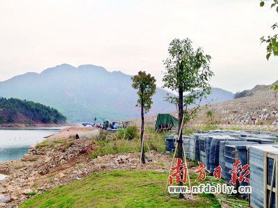 广东陆丰八部门联合调查“坟爷”及涉事领导