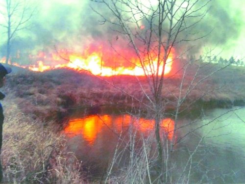 河南一官员为拍照取乐点燃树苗 焚毁整片林地(图)