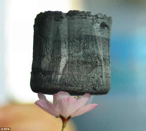 由浙江大学教授开发的石墨稀气凝胶体，可可稳稳地立于一朵花的花瓣上。