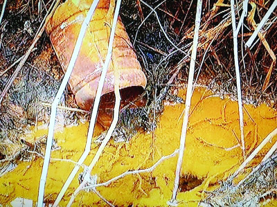 污染企业排出黄色的污水。