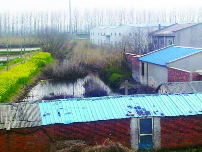 污染企业围墙外,院子里水是黑色的。