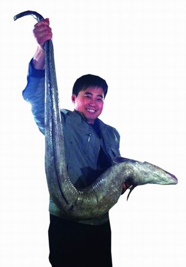 鳗鱼王长1.5米重25斤售价1200元