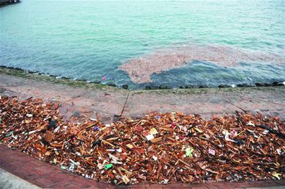 海上皇宫西侧海面漂浮50米长垃圾带