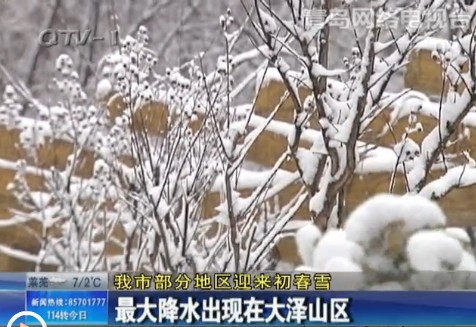 青岛部分地区遇初春雪