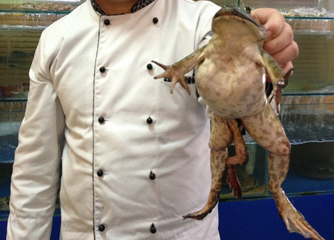 3d2013年015期3d2013015试机号千喜3d试机号