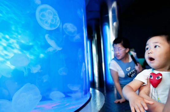 大连圣亚海洋世界“浪漫亲子季” 畅享海洋亲子游