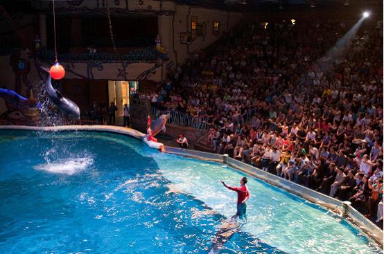 大连圣亚海洋世界“浪漫亲子季” 畅享海洋亲子游