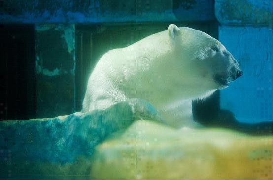 大连圣亚海洋世界“浪漫亲子季” 畅享海洋亲子游