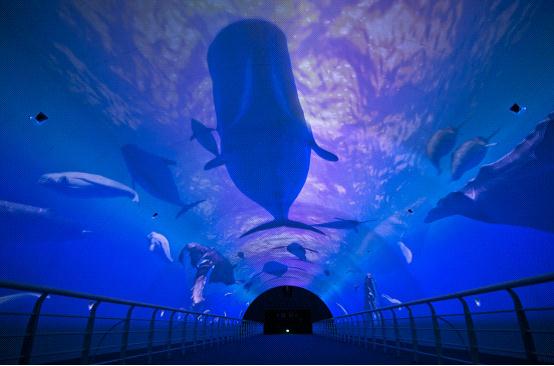 大连圣亚海洋世界“浪漫亲子季” 畅享海洋亲子游