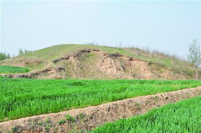 千年古墓遭自留地蚕食 千年古墓遭自留地蚕食