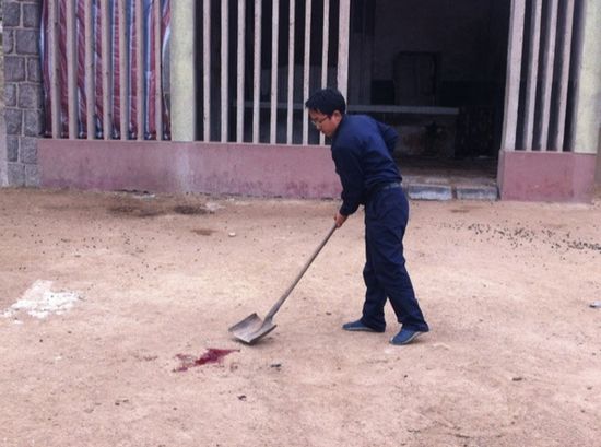 动物园当众割鹿角 园方回应为免伤同类 动物园当众割鹿角 园方回应为免伤同类