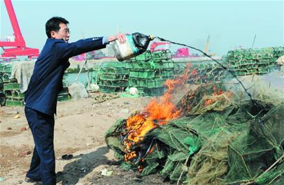 青岛现捕鱼地笼 鱼类一扫光2厘米鱼苗也难逃 青岛现捕鱼地笼 鱼类一扫光2厘米鱼苗也难逃