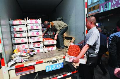 十地樱桃排队进青 价格上涨成水果中贵族 十地樱桃排队进青 价格上涨成水果中贵族