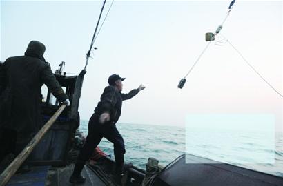 黄渤海鱼类捕捞量下降 市场难寻本地海捕