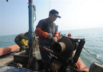 黄渤海鱼类捕捞量下降 市场难寻本地海捕