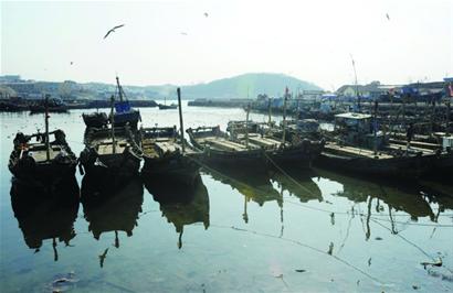 鱼类“性早熟”救种族 虾蟹“童子军”保生态 鱼类“性早熟”救种族 虾蟹“童子军”保生态