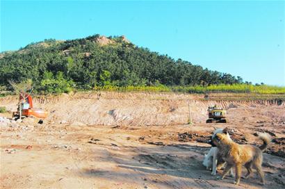 惜福镇青峰社区改造 71户居民家家住别墅 惜福镇青峰社区改造 71户居民家家住别墅