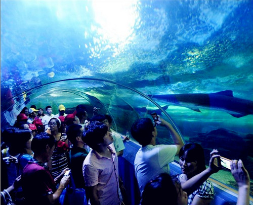 青岛海底世界推出啤酒节主题活动