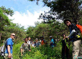 【猫猫】苹果能吃出桔子味来?-青青岛社区