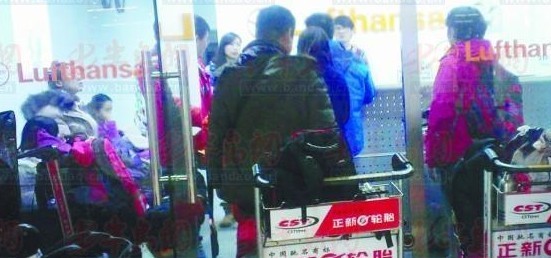 十日游因航班延误变九日 游客来青围堵汉莎航空 十日游因航班延误变九日 游客来青围堵汉莎航空