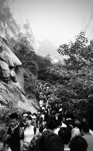 昨天,华山下山的道路被挤得水泄不通。东方拍客 @钚食嫣之瑗媛 图