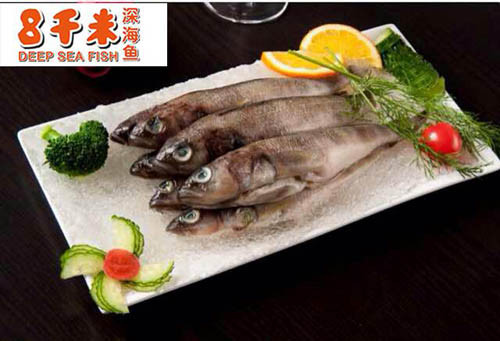 8千米拒绝舌尖上的浪费