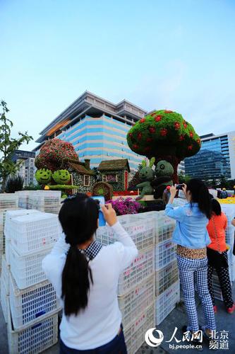 位于长安街沿线的“和谐家园”立体花坛尚未布置完毕，市民游客已在观赏留影。