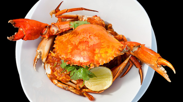 食尚狮城 青岛万达艾美酒店<BR> 新加坡美食节开幕 - 青岛新闻网