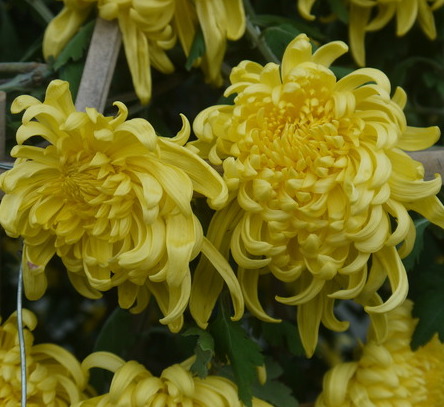 青医附院东院,值得赞一个