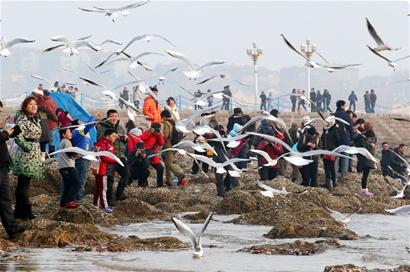 今明两天雾锁青岛 明天傍晚冷空气来袭气温下降 今明两天雾锁青岛 明天傍晚冷空气来袭气温下降