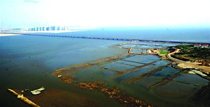 青岛4座跨海大桥盘点 胶州湾大桥世界最长